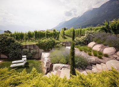 Mediterraner Garten mit Liegewiese in der Villa Pernstich, Kaltern