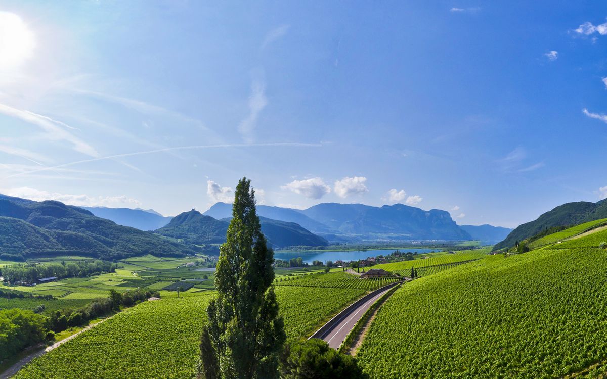 Panoramablick über den Kalterer See | Südtirol